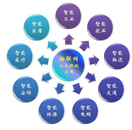 萬物互聯(lián)的智慧世界 解析物聯(lián)網領域、最新動態(tài)及其技術服務